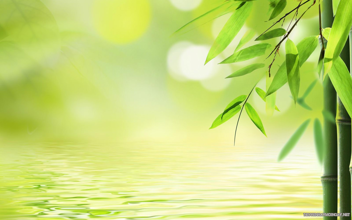 Xưa nay những người đạo đức cao thượng đều được mọi người kính trọng và ngưỡng mộ. Sức mạnh cảm hóa của đức mạnh hơn  bất kỳ chế tài nào. (Ảnh: pixabay.com)